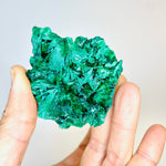 Authentic Malachite Natural Crystal Specimen 88 grams Stone of Transformation