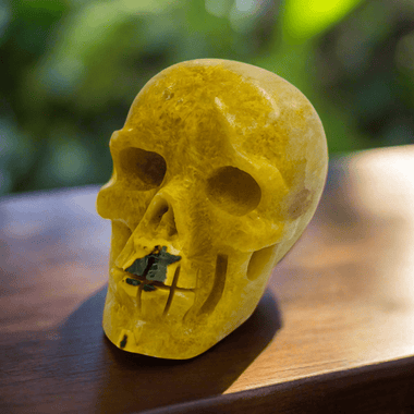 Authentic High Quality Bumble Bee Jasper Skull Head 137 grams - Ai NeDefault Category