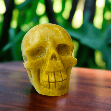 Authentic High Quality Bumble Bee Jasper Skull Head 174 grams - Ai NeDefault Category