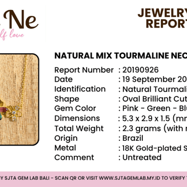 Certified 925 Sterling Silver Gold Plated Tourmaline Crystal Necklace | Balance Protection Grounding - Ai NeDefault Category