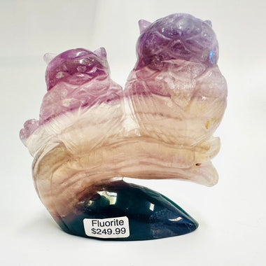 Fluorite Crystal Handcarved Owl Pair | Clarity Focus Spiritual Growth - Ai Ne