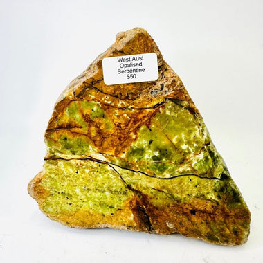 Opalised Serpentine 468 grams - From Western Australia - Ai NeDefault Category