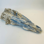 Raw Kyanite Crystal 15cm / 309grams - Ai NeDefault Category