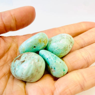 Turquoise Crystal Tumble 10 grams 2.5 - 3cm - Ai NeDefault Category