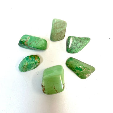 Variscite Crystal Tumble 7 grams - Ai NeDefault Category