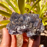 Fluorite changing colour Crystal Cluster cube with Pyrite Specimen 228 grams