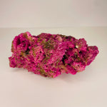 Authentic Fluorescent Ruby Crystal  | Radiate Passion and Spiritual Vibrancy  161 grams