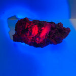 Authentic Fluorescent Ruby Crystal  | Radiate Passion and Spiritual Vibrancy  161 grams