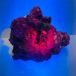 Authentic Fluorescent Ruby Crystal  | Radiate Passion and Spiritual Vibrancy  777 grams