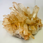 Rare!! large Orange Himalayan Quartz Crystal Cluster