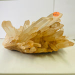 Rare!! large Orange Himalayan Quartz Crystal Cluster