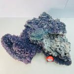 SALE! Authentic Grape Agate Cluster Crystal Gemstones