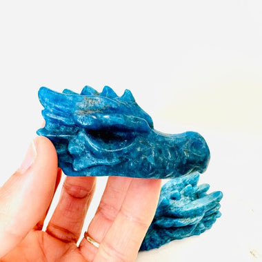 Apatite Crystal Dragon Head 7 cm - Ai Ne