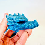 Apatite Crystal Dragon Head 7 cm - Ai Ne