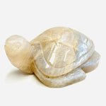 Blue Flash Moonstone Crystal Turtle | choose size - Ai NeDefault Category