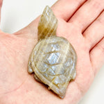Blue Flash Moonstone Crystal Turtle | choose size - Ai NeDefault Category