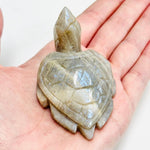 Blue Flash Moonstone Crystal Turtle | choose size - Ai NeDefault Category
