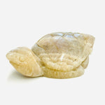Blue Flash Moonstone Crystal Turtle | choose size - Ai NeDefault Category