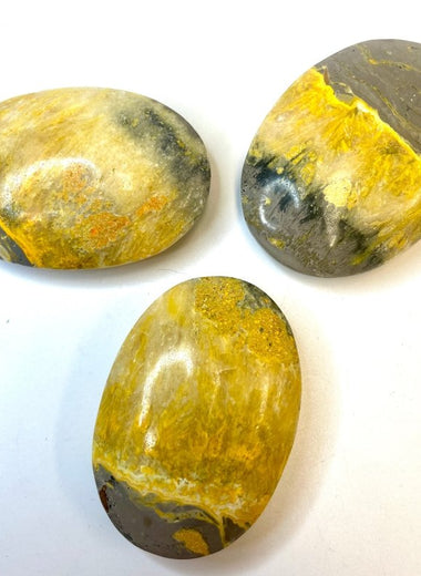 Bumblee Bee Jasper