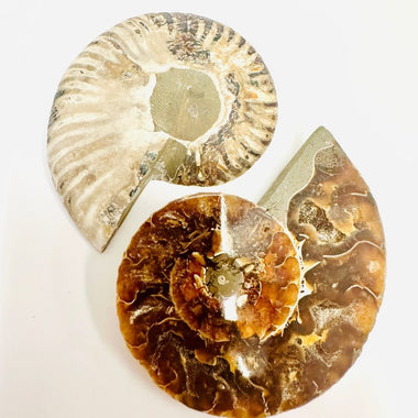 Crystal Ammonite Pair | Stability Protection Transformation 9 cm - Ai NeGifts & Crystals