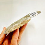 Crystal Ammonite | Stability Protection Transformation 12.5 cm - Ai NeGifts & Crystals