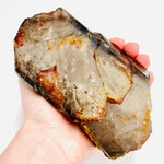 Elestial Smoky Quartz Crystal Specimen Freeform 868 grams | 15cm - Ai NeGifts & Crystals