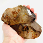 Elestial Smoky Quartz Crystal Specimen Freeform 868 grams | 15cm - Ai NeGifts & Crystals