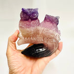 Fluorite Crystal Handcarved Owl Pair | Clarity Focus Spiritual Growth - Ai Ne