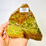 Opalised Serpentine 468 grams - From Western Australia - Ai NeDefault Category