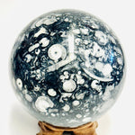 Orthoceras Sphere 2173 grams | 11.5cm - Ai Ne
