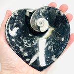 Ortoceras Goniatite Crystal Heart Bowl 232 grams | 11cm - Ai Ne