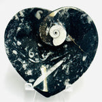 Ortoceras Goniatite Crystal Heart Bowl 232 grams | 11cm - Ai Ne
