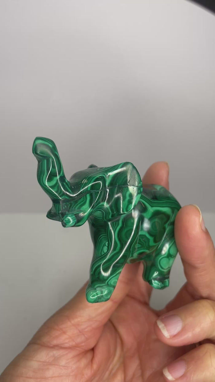 Authentic Malachite Natural Crystal Elephant 152 grams Stone of Transformation