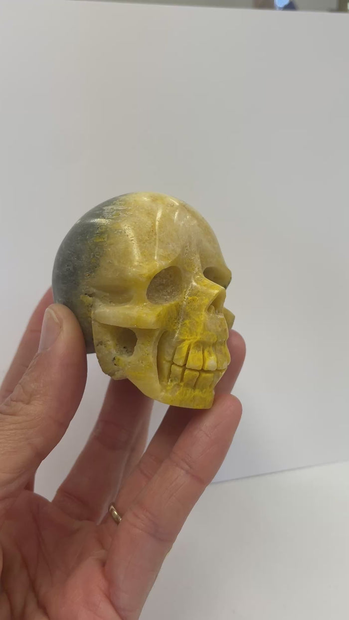 Authentic High Quality Bumble Bee Jasper Skull Head 174 grams