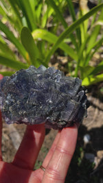 Fluorite changing colour Crystal Cluster cube with Pyrite Specimen 228 grams