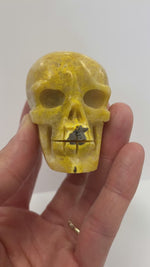 Authentic High Quality Bumble Bee Jasper Skull Head 137 grams
