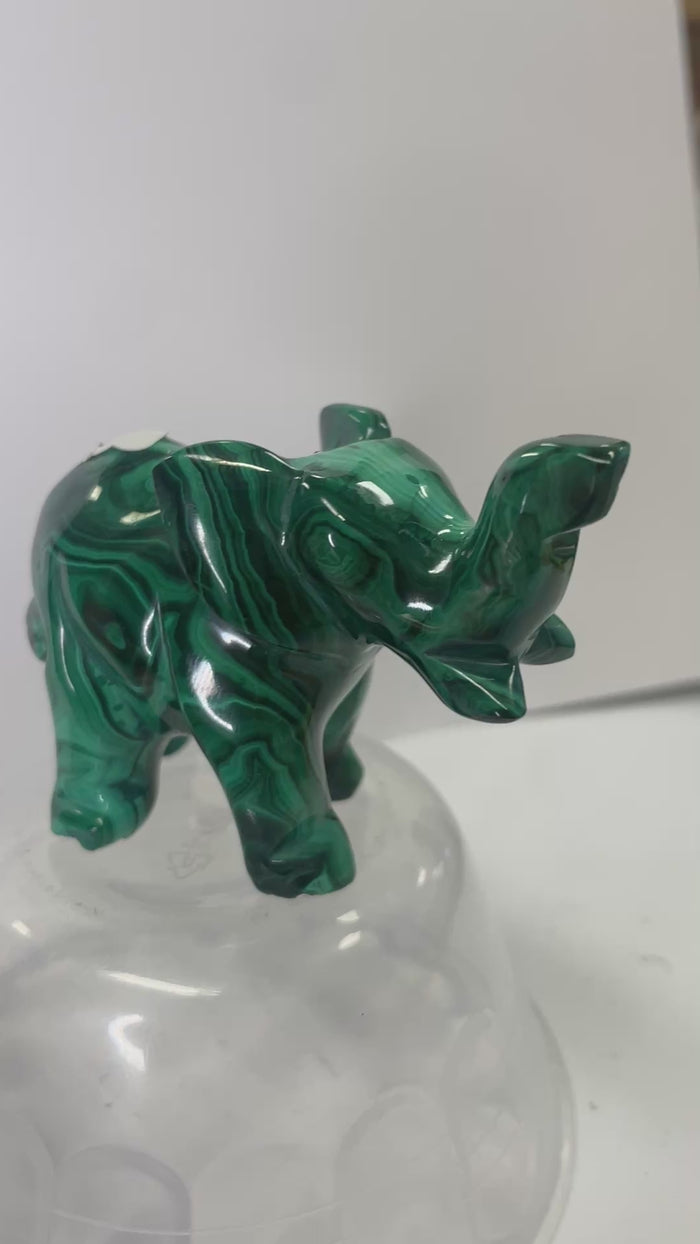 Authentic Malachite Natural Crystal Elephant  145 grams Stone of Transformation