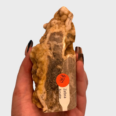SALE! Zebra Agate Crystal Free Form Semi-Polished- 11cm - Ai Ne