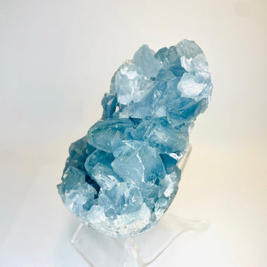 Stunning Celestite Cluster Crystal 613 grams - Ai Ne