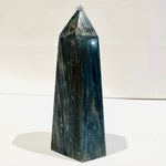 Authentic Kyanite Crystal Gemstones Tower/ Point 121 grams - Ai NeDefault Category