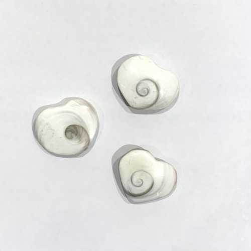 CUTE! Shiva Shell Hearts - Ai Ne hearts