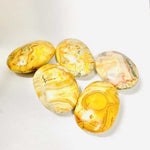 Crazy Lace Agate Crystal Gemstone Palm Stone | Joyful Energy and Vibrant Patterns - Ai NeDefault Category