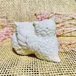 Genuine Handmade Tagua Nut Carving Ivory - Double Owls