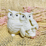 Genuine Handmade Tagua Nut Carving Ivory - Double Owls