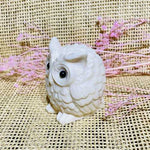 Genuine Handmade Tagua Nut Carving Ivory - Owl 6cm
