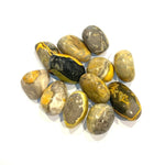 Bumblebee Jasper Crystal Tumbles | Confidence And Strength - Ai Ne